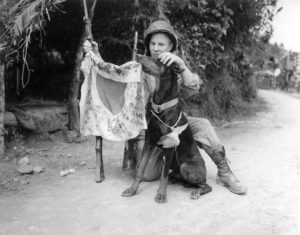 Dobermann and Allied soldier with a Japanese banner.