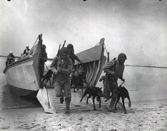 Dobermanns and WW2 US Marines training.