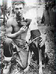 Marine and Dobermann.