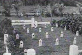 War dog graves.