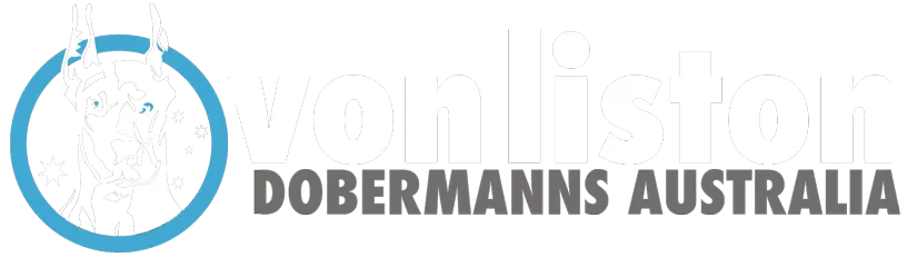 Creators of the Ultimate Guardian